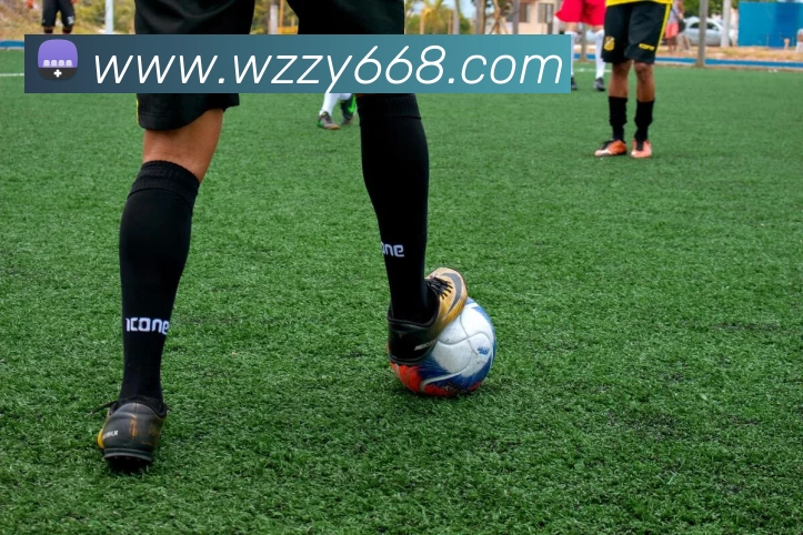 qy球友会(中国)官方网站平台生态图